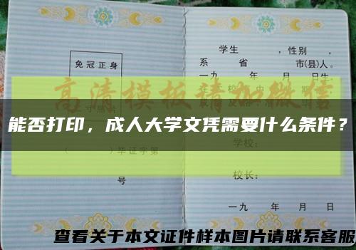 能否打印，成人大学文凭需要什么条件？缩略图