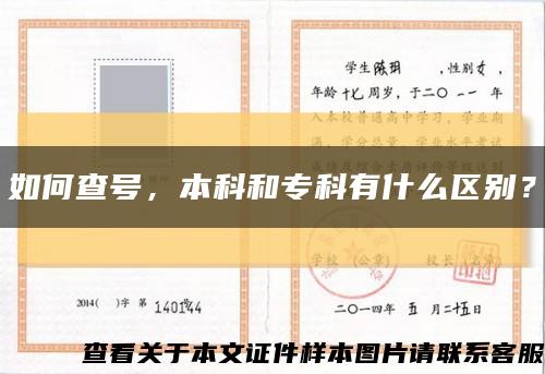 如何查号，本科和专科有什么区别？缩略图