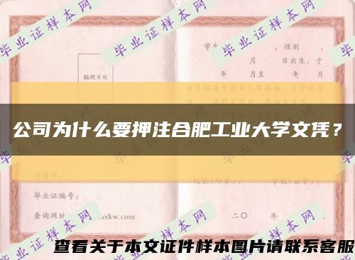 公司为什么要押注合肥工业大学文凭？缩略图