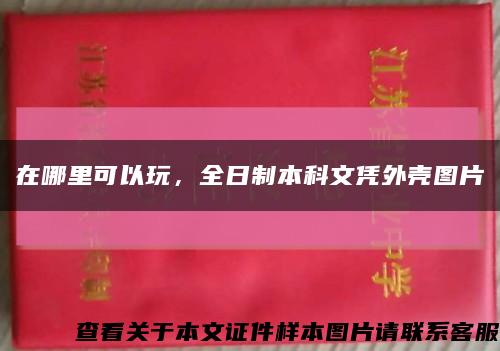 在哪里可以玩，全日制本科文凭外壳图片缩略图