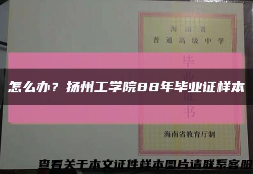 怎么办？扬州工学院88年毕业证样本缩略图