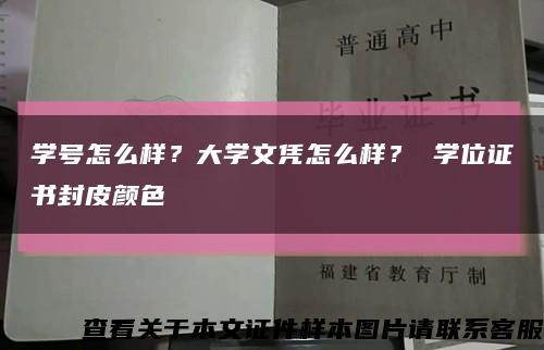 学号怎么样？大学文凭怎么样？ 学位证书封皮颜色缩略图