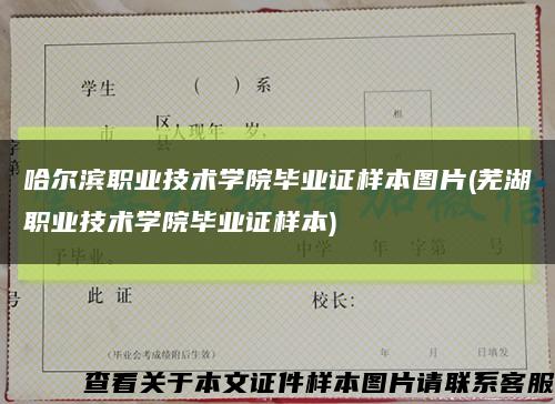 哈尔滨职业技术学院毕业证样本图片(芜湖职业技术学院毕业证样本)缩略图