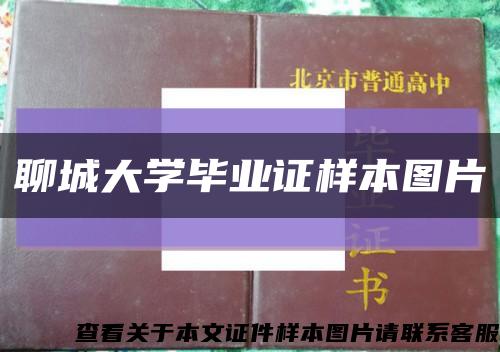 聊城大学毕业证样本图片缩略图