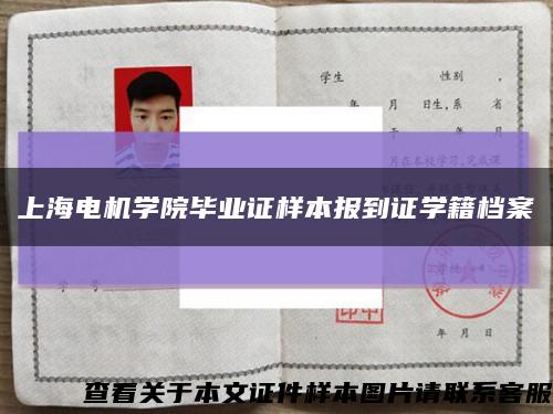 上海电机学院毕业证样本报到证学籍档案缩略图
