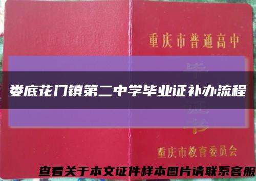 娄底花门镇第二中学毕业证补办流程缩略图