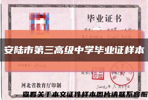 安陆市第三高级中学毕业证样本缩略图