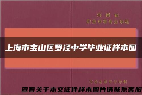 上海市宝山区罗泾中学毕业证样本图缩略图