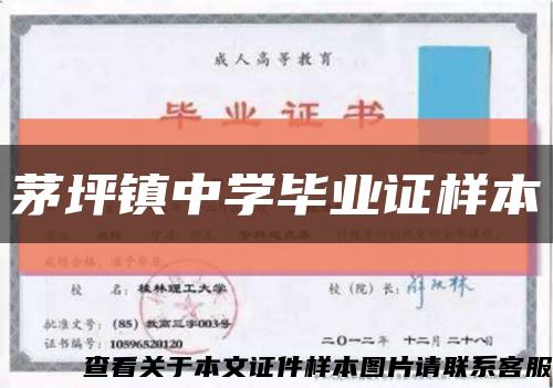 茅坪镇中学毕业证样本缩略图