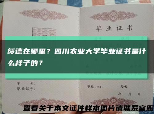 绥德在哪里？四川农业大学毕业证书是什么样子的？缩略图