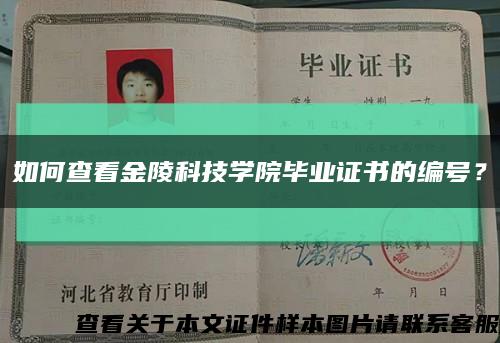 如何查看金陵科技学院毕业证书的编号？缩略图