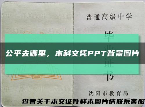 公平去哪里，本科文凭PPT背景图片缩略图