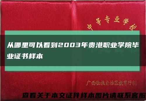 从哪里可以看到2003年贵港职业学院毕业证书样本缩略图