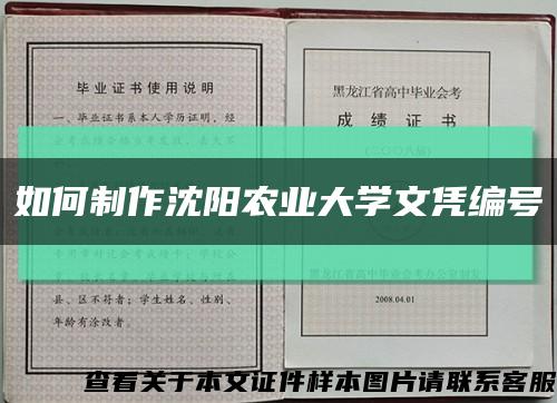 如何制作沈阳农业大学文凭编号缩略图