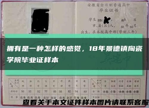 拥有是一种怎样的感觉，18年景德镇陶瓷学院毕业证样本缩略图