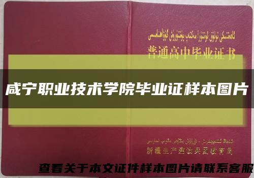 咸宁职业技术学院毕业证样本图片缩略图