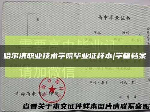 哈尔滨职业技术学院毕业证样本|学籍档案缩略图