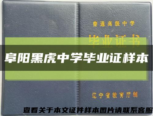 阜阳黑虎中学毕业证样本缩略图