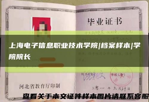 上海电子信息职业技术学院|档案样本|学院院长缩略图