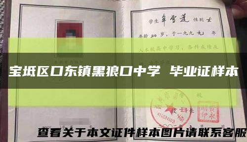 宝坻区口东镇黑狼口中学 毕业证样本缩略图