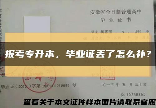 报考专升本，毕业证丢了怎么补？缩略图