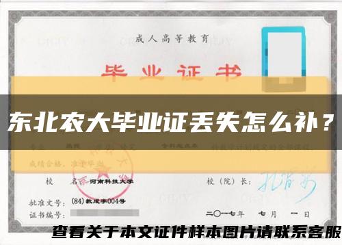 东北农大毕业证丢失怎么补？缩略图