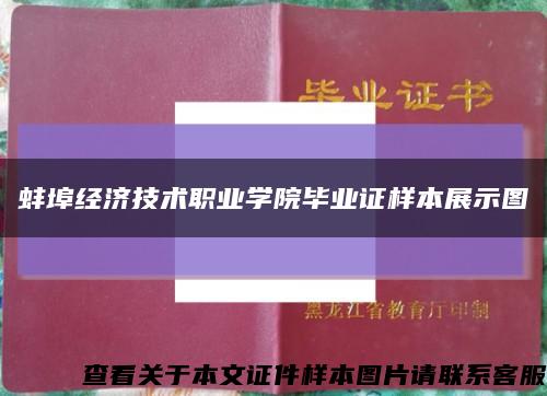 蚌埠经济技术职业学院毕业证样本展示图缩略图