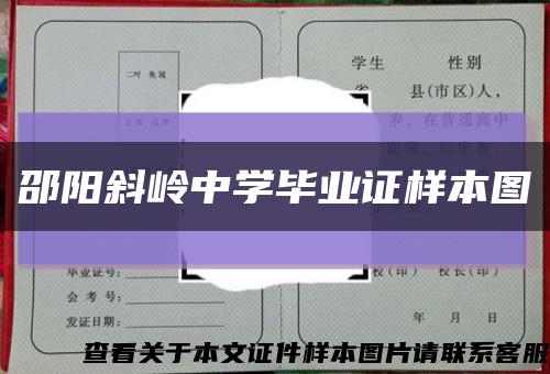 邵阳斜岭中学毕业证样本图缩略图