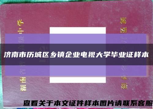 济南市历城区乡镇企业电视大学毕业证样本缩略图