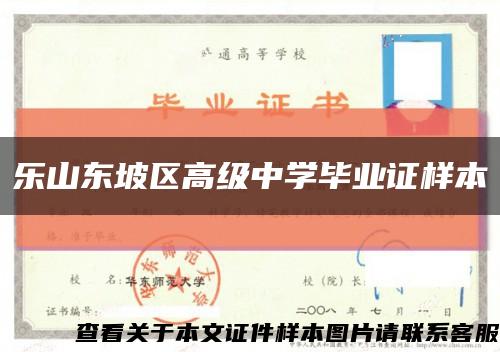 乐山东坡区高级中学毕业证样本缩略图