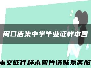 周口唐集中学毕业证样本图缩略图