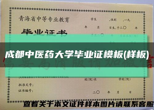 成都中医药大学毕业证模板(样板)缩略图