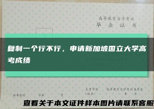 复制一个行不行，申请新加坡国立大学高考成绩缩略图