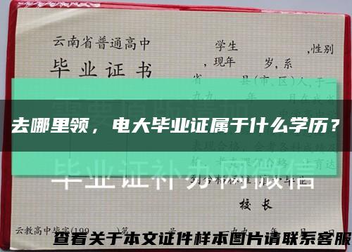 去哪里领，电大毕业证属于什么学历？缩略图