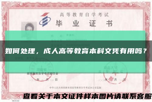 如何处理，成人高等教育本科文凭有用吗？缩略图