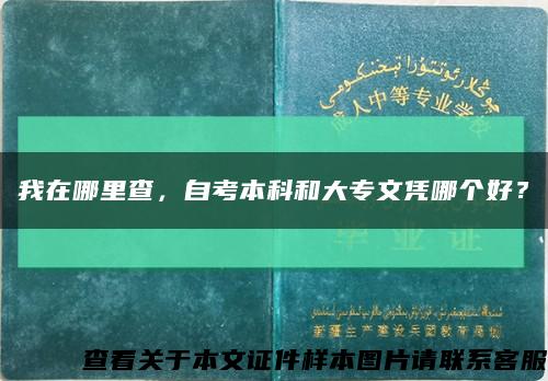 我在哪里查，自考本科和大专文凭哪个好？缩略图