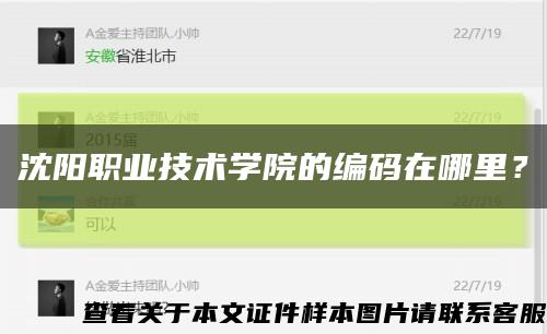 沈阳职业技术学院的编码在哪里？缩略图