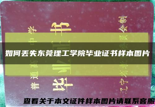 如何丢失东莞理工学院毕业证书样本图片缩略图