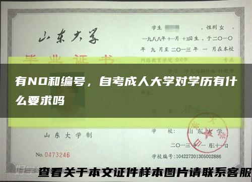 有NO和编号，自考成人大学对学历有什么要求吗缩略图