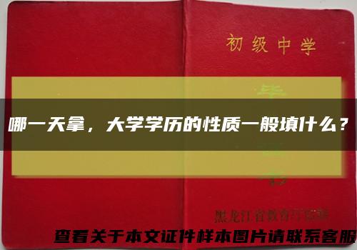 哪一天拿，大学学历的性质一般填什么？缩略图