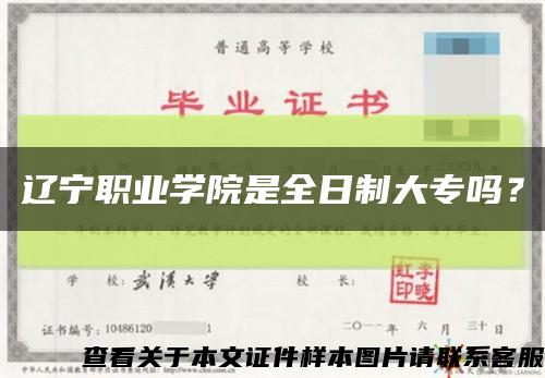 辽宁职业学院是全日制大专吗？缩略图