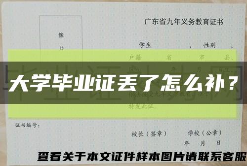 大学毕业证丢了怎么补？缩略图