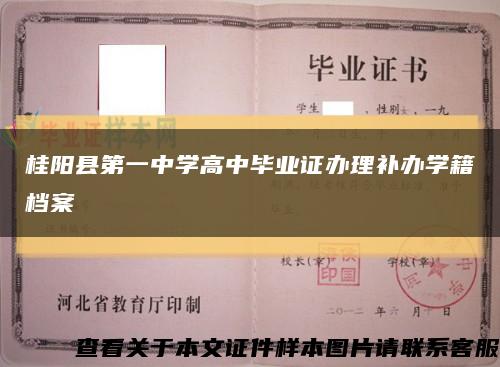 桂阳县第一中学高中毕业证办理补办学籍档案缩略图