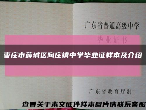 枣庄市薛城区陶庄镇中学毕业证样本及介绍缩略图