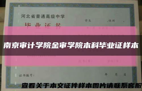 南京审计学院金审学院本科毕业证样本缩略图