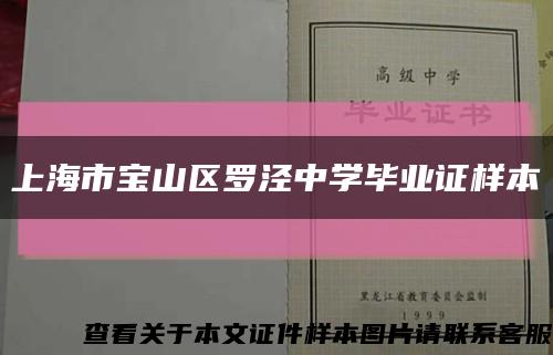 上海市宝山区罗泾中学毕业证样本缩略图