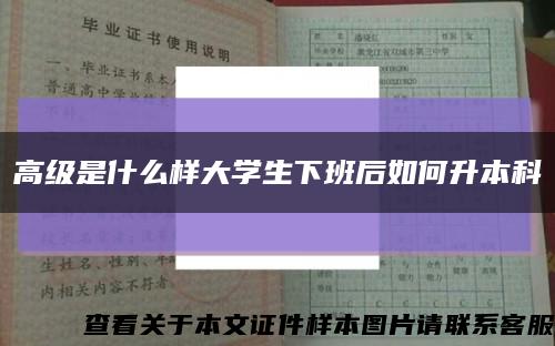 高级是什么样大学生下班后如何升本科缩略图