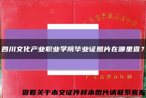 四川文化产业职业学院毕业证照片在哪里查？缩略图