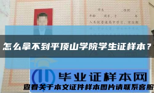 怎么拿不到平顶山学院学生证样本？缩略图