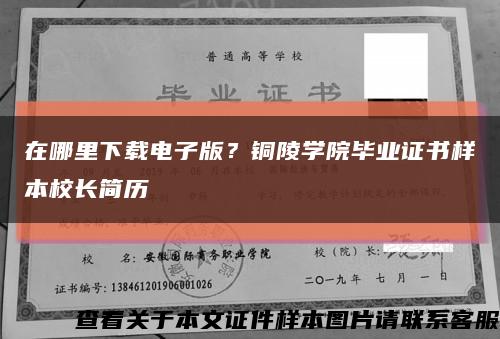 在哪里下载电子版？铜陵学院毕业证书样本校长简历缩略图